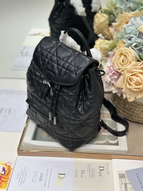 Dior Bag 